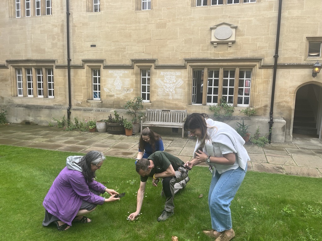 Students and staff participate in a BioBlitz event on the lawn in Lincoln College’s Chapel Quad, using mobile phones to record and identify plant and wildlife species as part of a biodiversity survey.